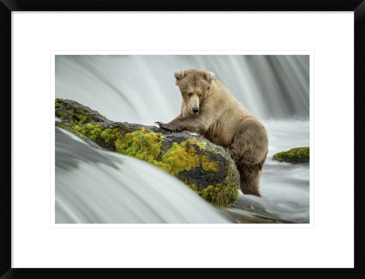 "Left Wanting" Framed Digital Print by Renee Doyle, 26"x20"