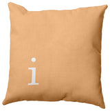 20"x20" Modern Monogram Decorative Throw Pillow, Pale Gold