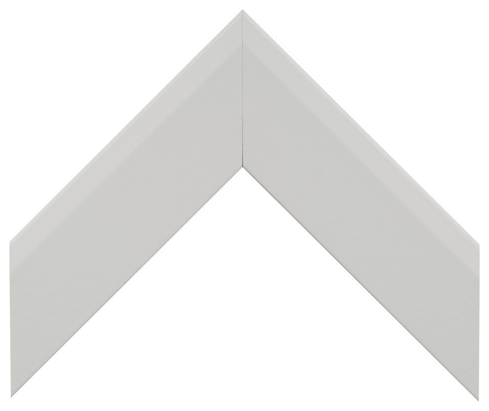 LaRue Framed Wall Mirror, White, 28" X 54"