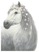 "Spirit Stallion II" Digital Paper Print by James Wiens, 18"x26"