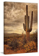 "Desert Sentinels" Painting Print on Canvas by Robertson