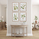 Orchid Assortment Study Gallery Art, Set of 4