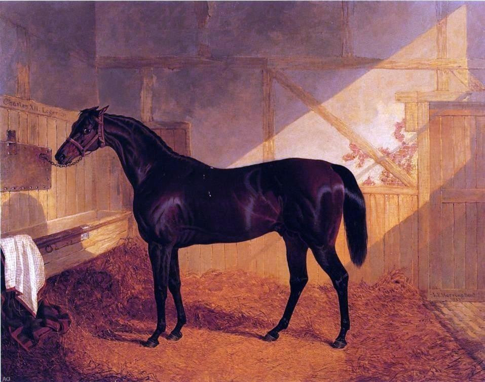 Sr. John Frederick Herring Mr. Johnstone-s -Charles XII- in a Stable Canvas Wrap