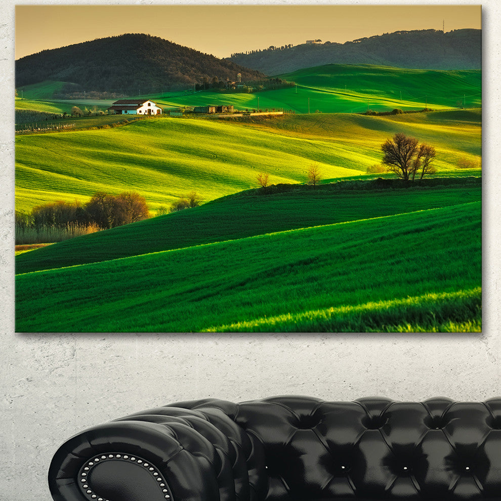 Trees and Farmland Near Volterra, Extra Large Landscape Canvas Art, 40"x30"