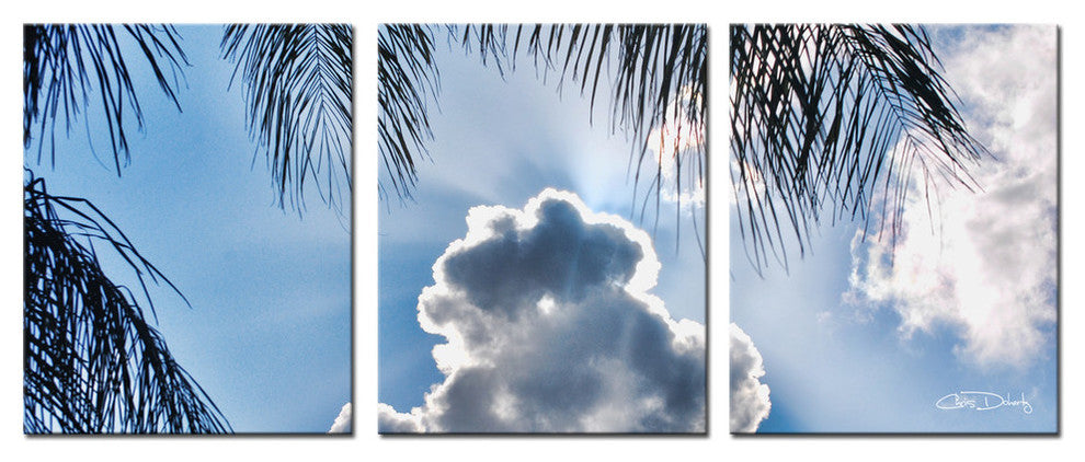 Ready2hangart Chris Doherty 'Cloudy Palms' 3-piece Canvas Wall Art