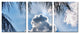 Ready2hangart Chris Doherty 'Cloudy Palms' 3-piece Canvas Wall Art