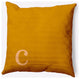 20" x 20" Modern Monogram Indoor/Outdoor Polyester Throw Pillow, Autumn Gold