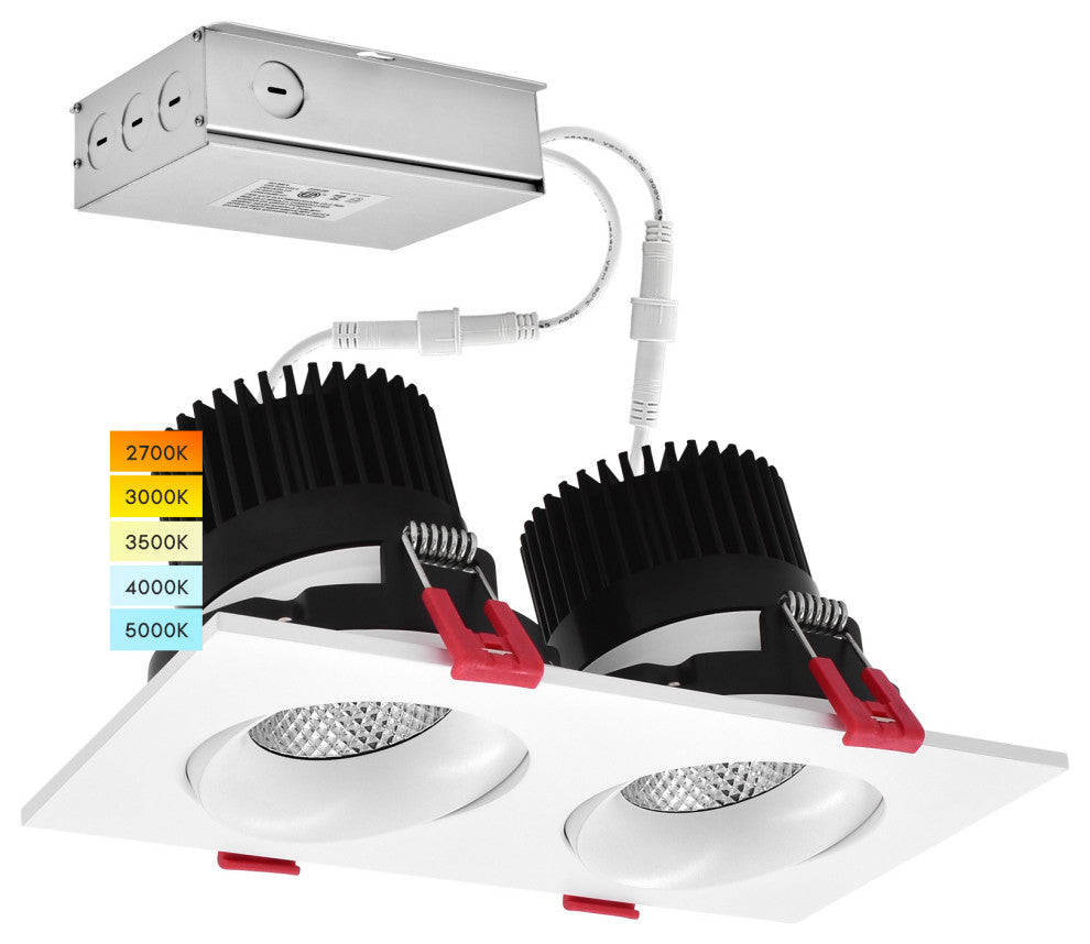 Double Head Adjustable LED Recessed Light 24W 5 Color Options 1400 Lumens
