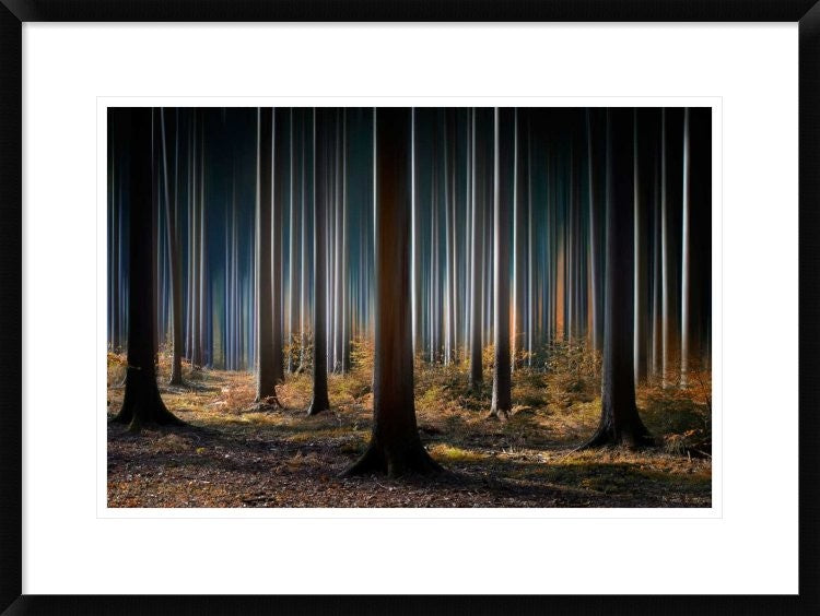 "Mystic Wood" Framed Digital Print by Carsten Meyerdierks, 30x22"