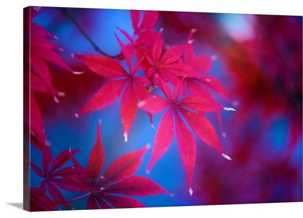 "Autumn Fantasy" Wrapped Canvas Art Print, 48"x32"x1.5"
