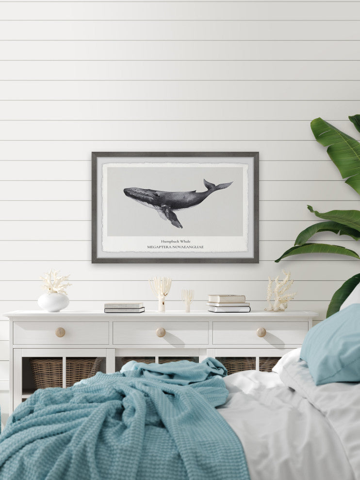 "Megaptera Novaeangliae" Framed Painting Print, 12x8