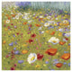 "Champ de Fleur II" Digital Paper Print by Shirley Novak, 42"x42"