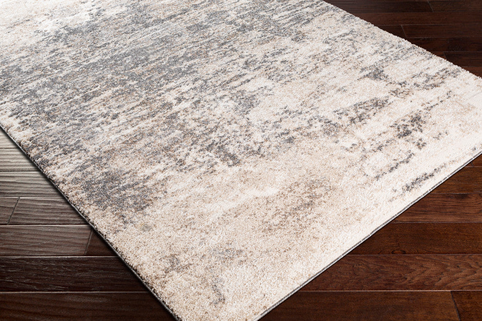 Andorra ARD-2305 Rug, Charcoal, 5'3"x7'3"