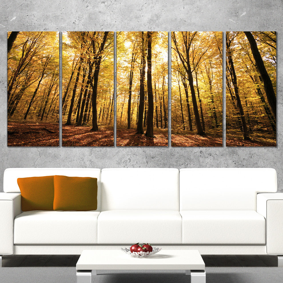Setting Sun over Dense Fall Forest, Modern Forest Canvas Art, 60"x28", 5 Panels