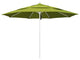 11' Fiberglass Umbrella White, Pacifica, Ginkgo, 11'