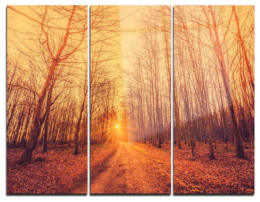 "Forest Road into Sunrise" Photography Metal Wall Art, 3 Panels, 36"x28"