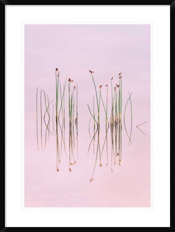 "Reflection Of Serenity" Framed Digital Print by Yan Zhang, 28"x38"