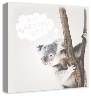 Baby Koala 20x20 Canvas Wall Art