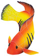 Flame Angel Fish Left Facing