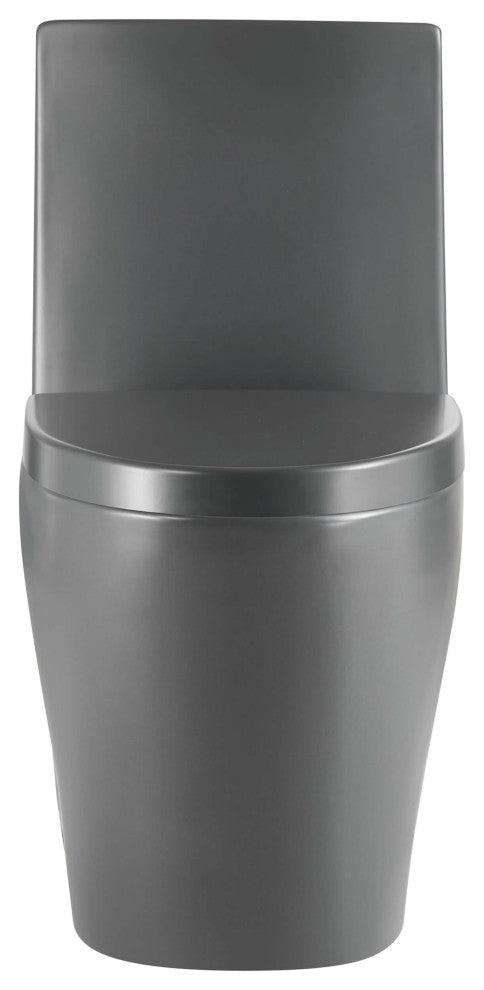 Fine Fixtures Dual-Flush Elongated One-Piece Toilet With High Efficiency Flush, Matte Grey