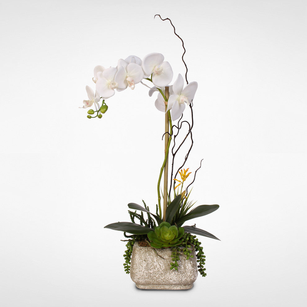 Real Touch Phalaenopsis Silk Orchid With Succulents in a Cement Pot