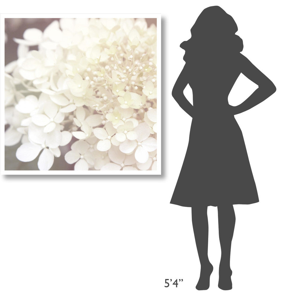 "Hydrangea Dream II" Digital Paper Print by Laura Marshall, 38"x38"