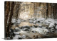 "Sublimated" Wrapped Canvas Art Print, 24"x16"x1.5"