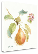 "Orchard Bloom II" By Lisa Audit, Giclee Print on Gallery Wrap Canvas
