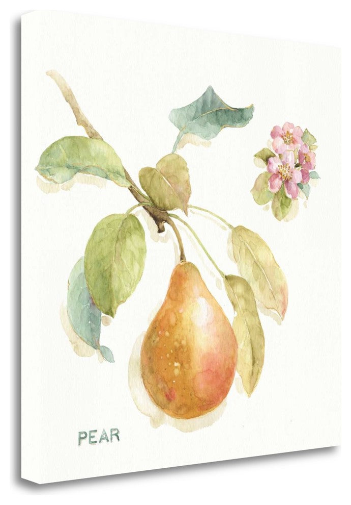 "Orchard Bloom II" By Lisa Audit, Giclee Print on Gallery Wrap Canvas