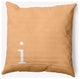 20" x 20" Modern Monogram Indoor/Outdoor Polyester Throw Pillow, Pale Gold