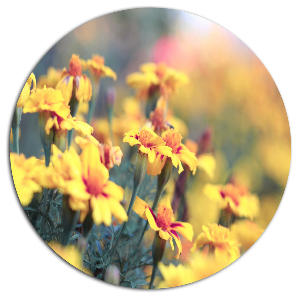 Pale Yellow Marigold Flowers, Floral Disc Metal Wall Art, 36"