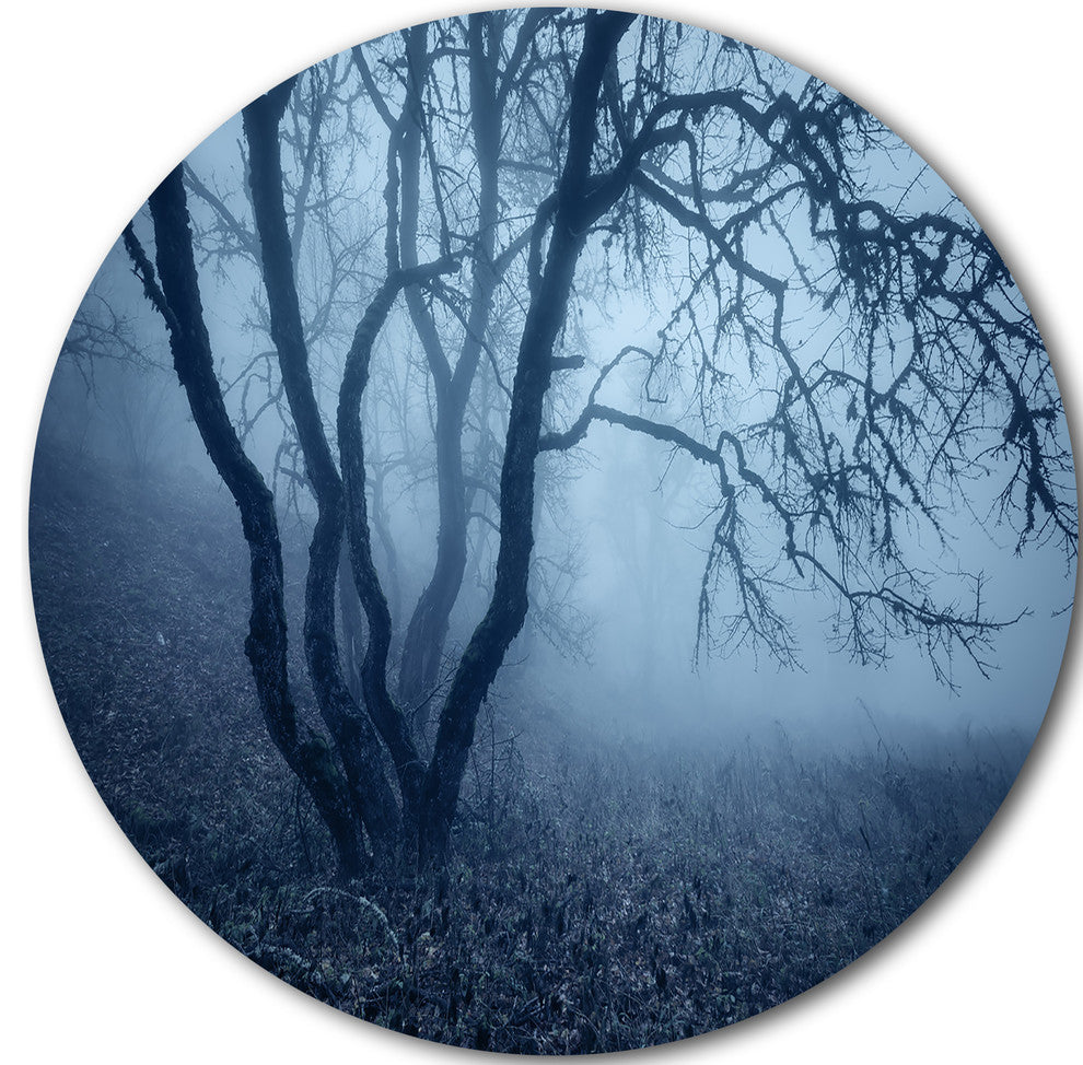 Tree In Foggy Dark Forest, Landscape Photo Disc Metal Wall Art, 11"