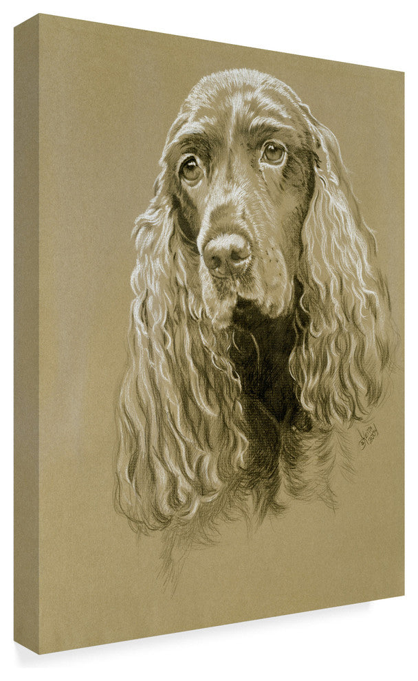 "Field Spaniel" by Barbara Keith, Canvas Art