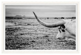 The Horn Fine Art Print, White, 30"x45"