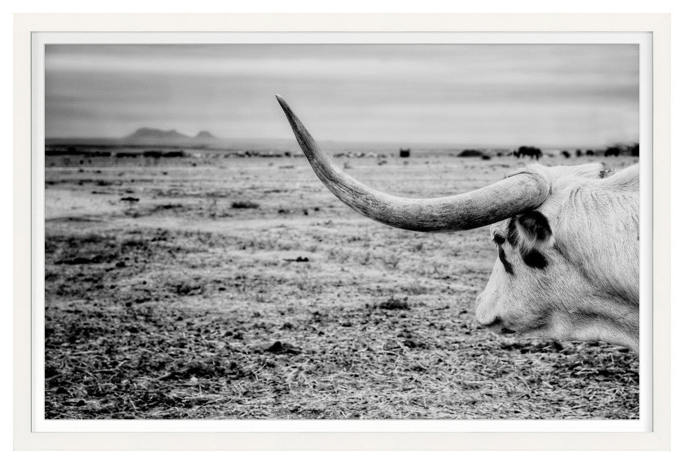 The Horn Fine Art Print, White, 30"x45"
