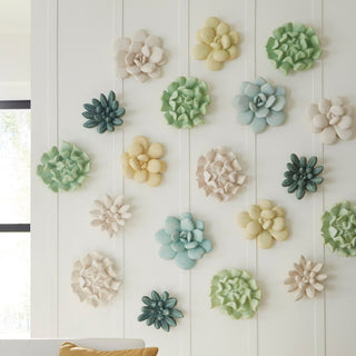 Topsy Turvy Succulent Wall Art, Jade