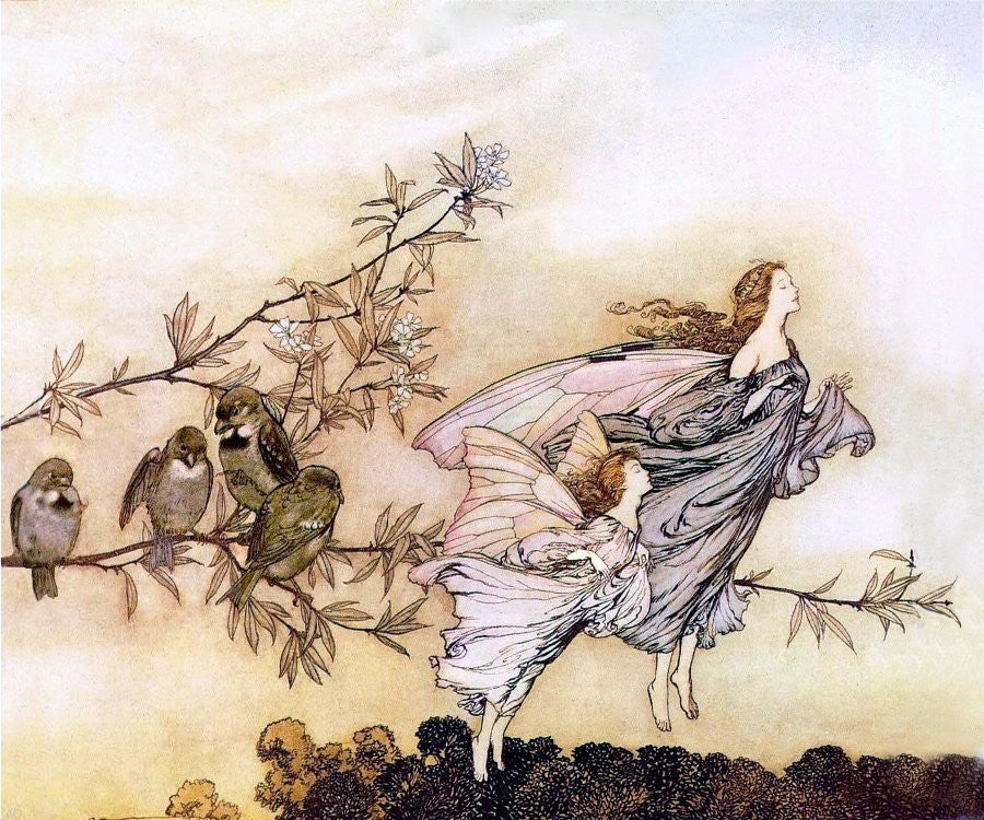 Arthur Rackham The Fairies Have Their Tiffs with The Birds (Fairy Tiffs)Print