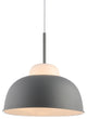 Simon 12" Adjustable Metal and Glass Led Pendant, Gray