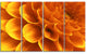 Yellow Abstract Floral Design, Floral Canvas Art Print, 48"x28", 4 Panels