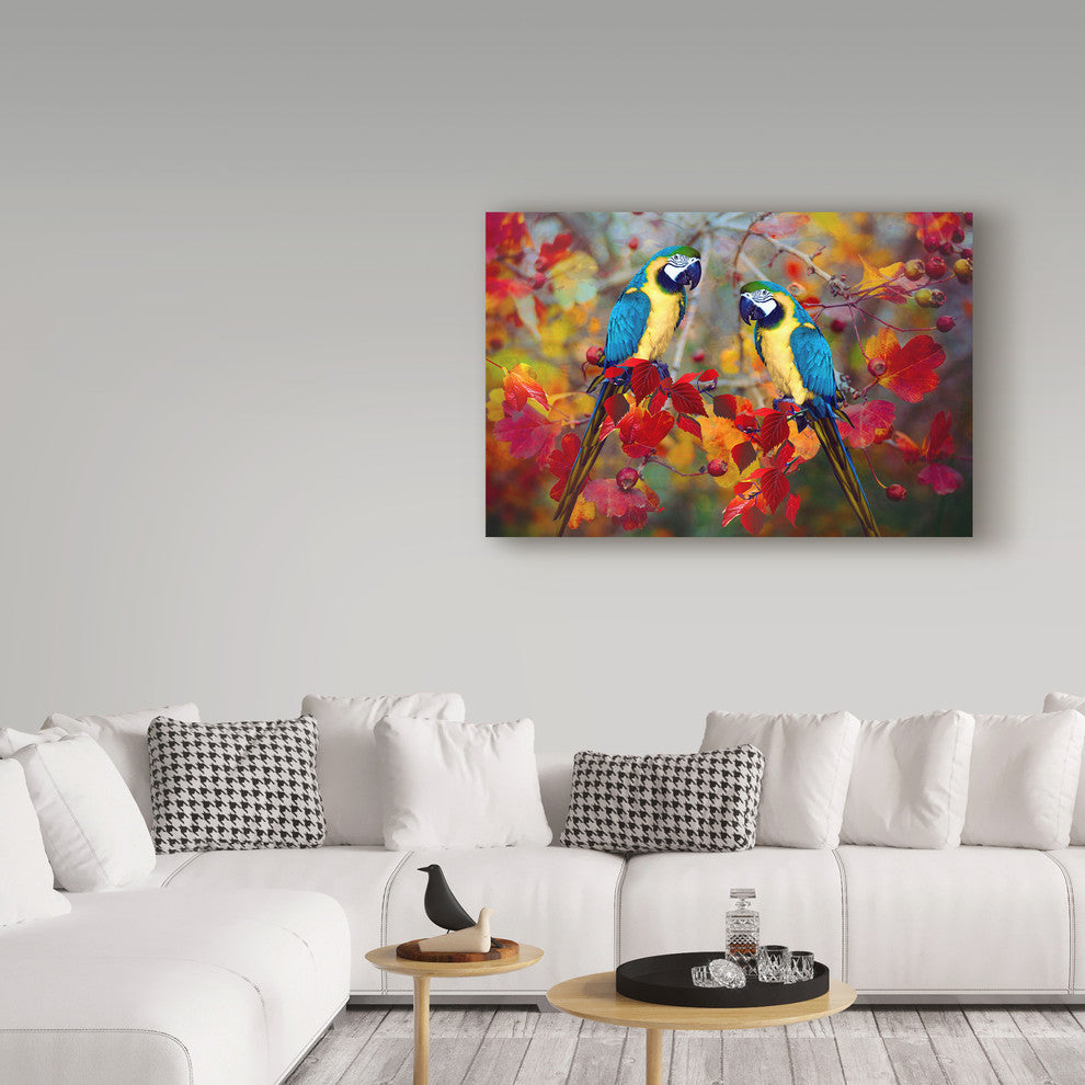 "Bird Collection 19" by Ata Alishahi, Canvas Art, 22"x32"