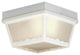 Thomas Lighting SL7578 Outdoor Essentials Ceiling Lamp