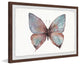 "Grand Pastel Wings" Framed Painting Print, 18"x12"