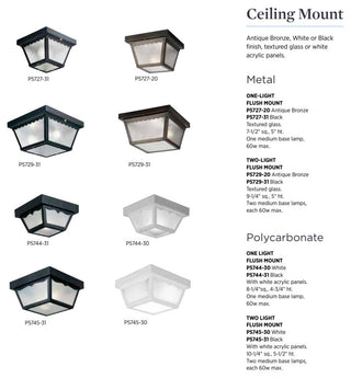 2-Light 10-1/4-in Flush Mount Indoor/Outdoor Light, Black