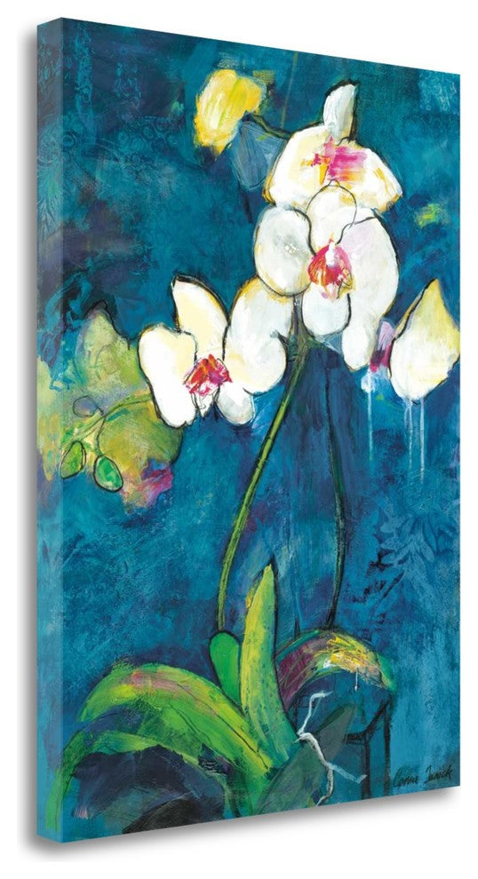 "Phalaenopsis II" By Connie Tunick, Giclee Print on Gallery Wrap Canvas