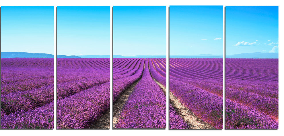 "Lavender Flower Blooming Fields" Canvas Print, 5 Panels, 60"x28"