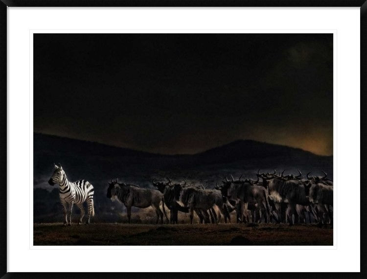 "An Evening In Kenya" Framed Digital Print by Piet Flour, 44x33"
