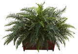River Fern With Wood Planter, Green