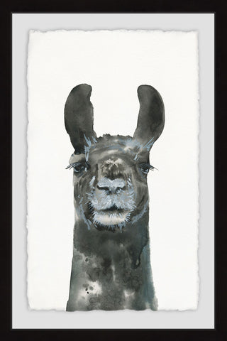 "Older Llama" Framed Painting Print, 12"x18"