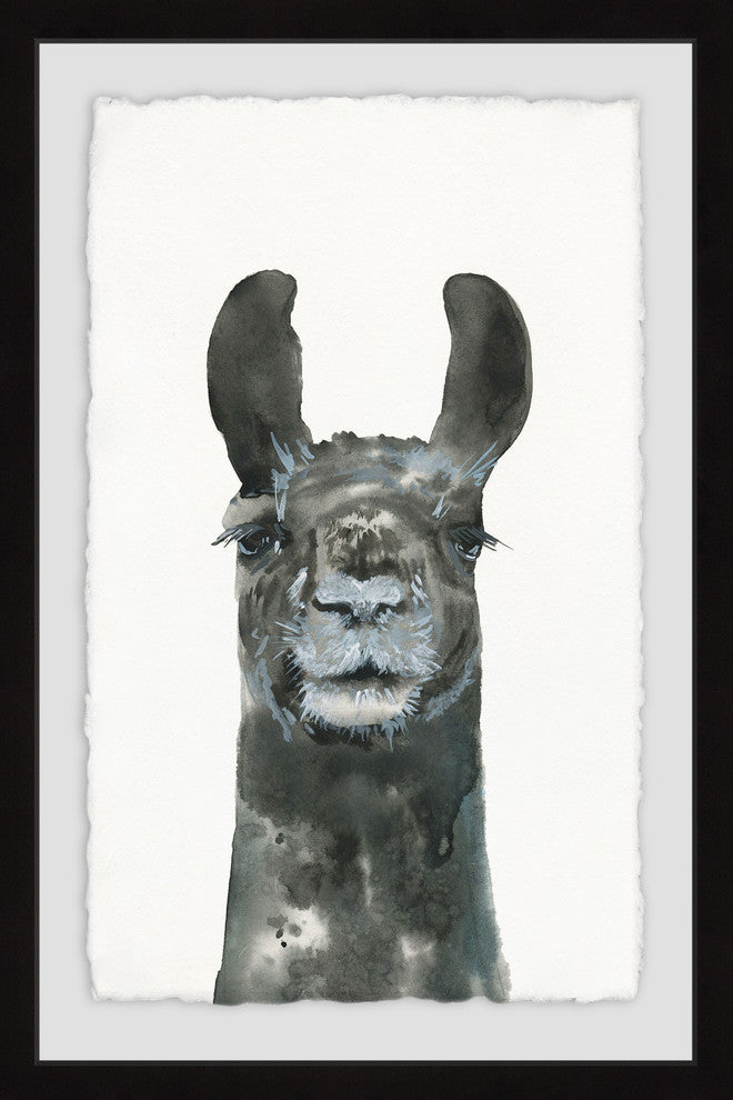 "Older Llama" Framed Painting Print, 12"x18"