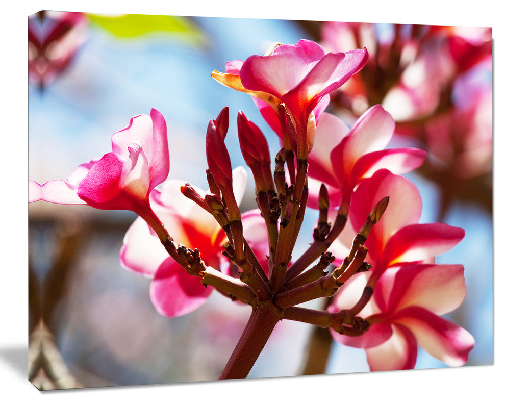 Bunch of Beautiful Tropical Flowers, Floral Canvas Art print, 40"x30"